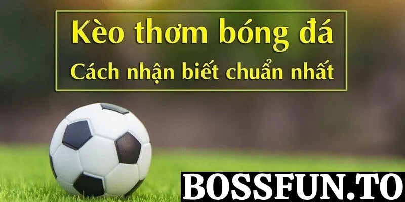 Cách nhận diện kèo thơm bóng đá tại bossfun